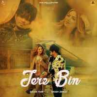 Tere Bin - Sucha Yaar